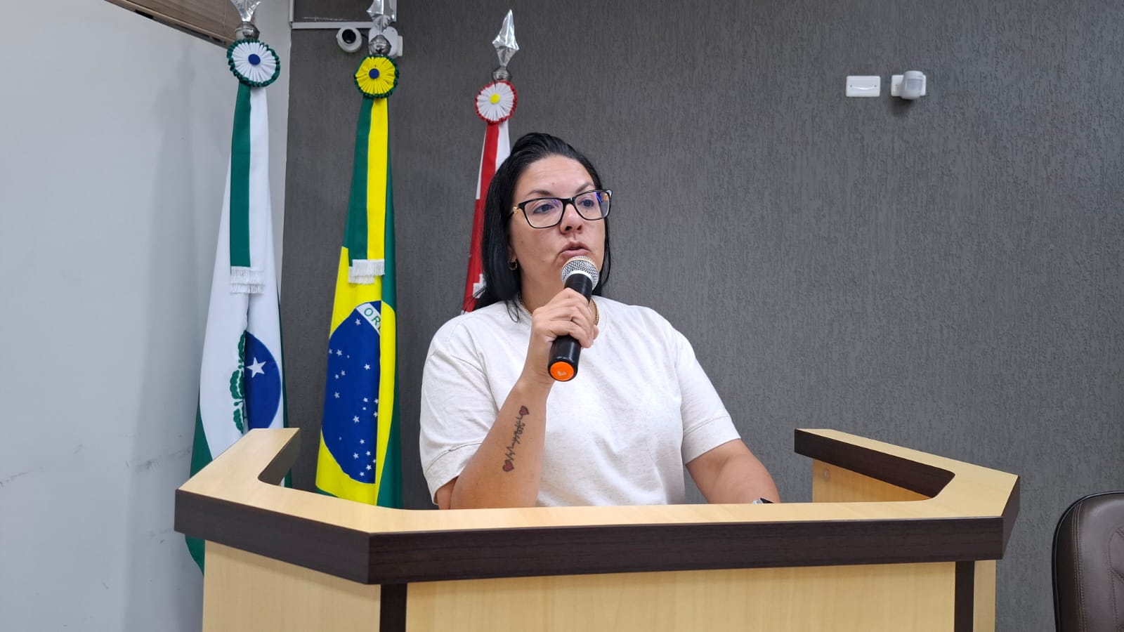 Vereadora propõe melhorias em vias urbanas e medidas para aumentar segurança no trânsito